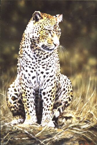0017_Chui_-_An_African_Lady.jpg