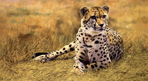 0158_Lord_Duma.jpg