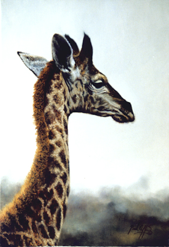 0176_Young_Maasai.jpg