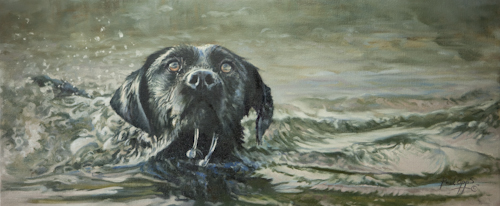 Black Lab in Water