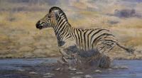 Zebra, Etosha,Waterhole,Africa