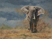 0387_Distant_Rains_12-_x_16-_Oil_on_Panel.jpg