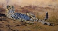 Africa,Lion,Big Cats,Predators,Oil Painting, Feline,