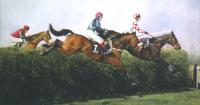 0091_From_bechers_to_victory_f.jpg