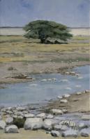 Plein Air,Paul Apps